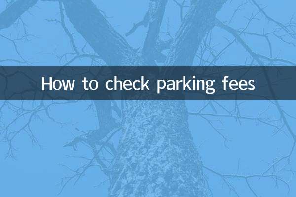 Как проверить стоимость парковки