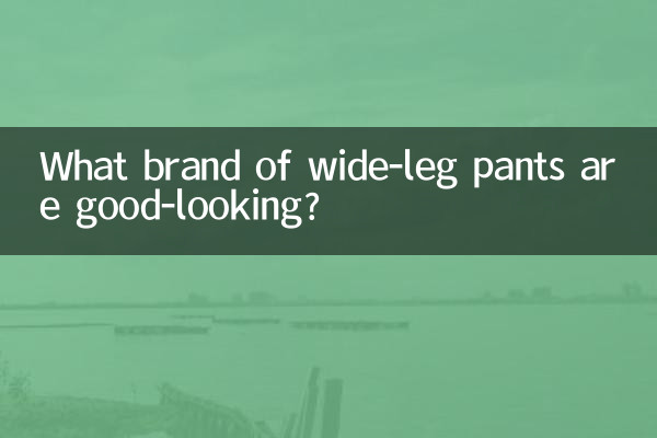 What brand of wide-leg pants are good-looking?