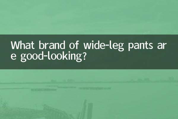 What brand of wide-leg pants are good-looking?