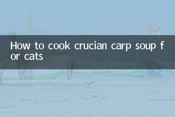 طرز تهیه سوپ ماهی کپور صلیبی برای گربه