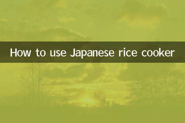 طرز استفاده از پلوپز ژاپنی