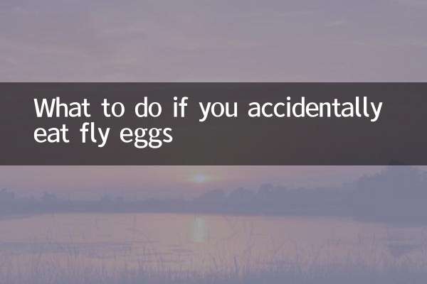 실수로 파리알을 먹었다면 어떻게 해야 할까요?