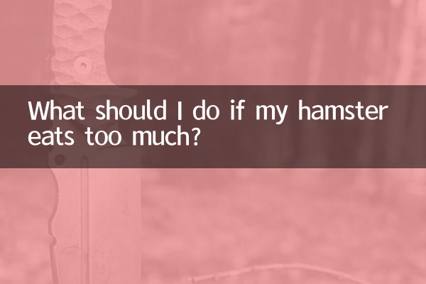 Was soll ich tun, wenn mein Hamster zu viel frisst?