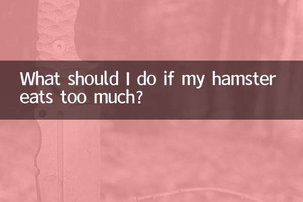Was soll ich tun, wenn mein Hamster zu viel frisst?