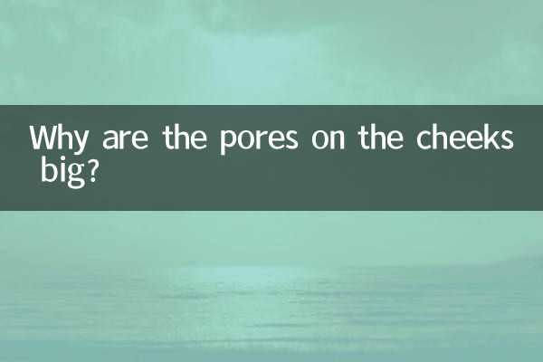 Pourquoi les pores des joues sont-ils gros ?