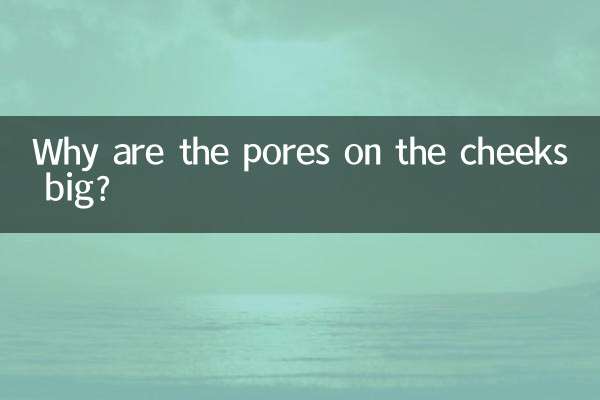 볼에 모공이 큰 이유는 무엇입니까?