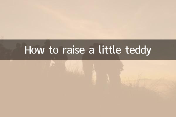 How to raise a little teddy