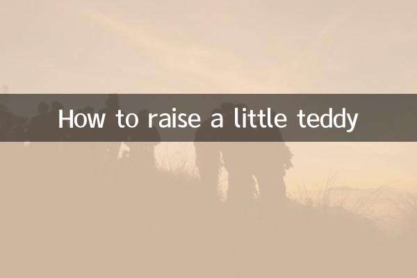 How to raise a little teddy
