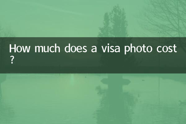 Combien coûte une photo de visa ?