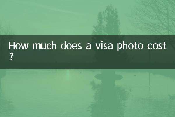 签证照片多少钱