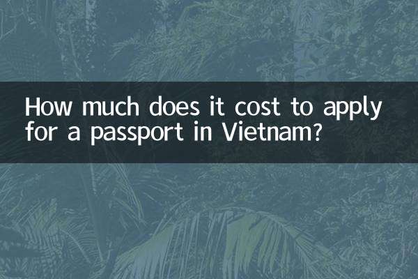 越南办护照多少钱