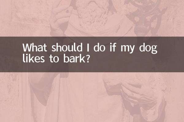 ¿Qué debo hacer si a mi perro le gusta ladrar?