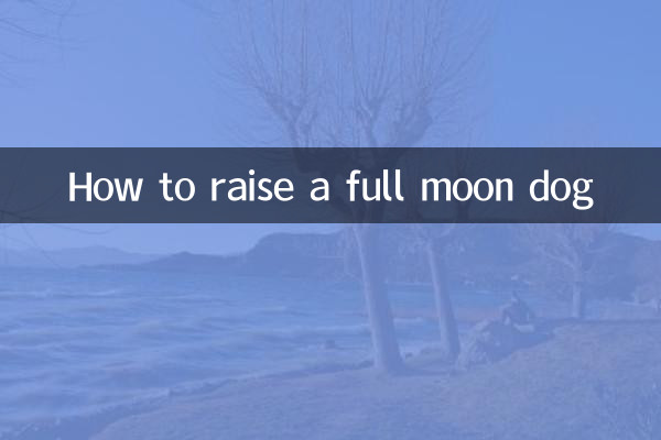 Comment élever un chien de pleine lune