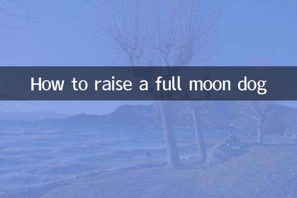 Comment élever un chien de pleine lune