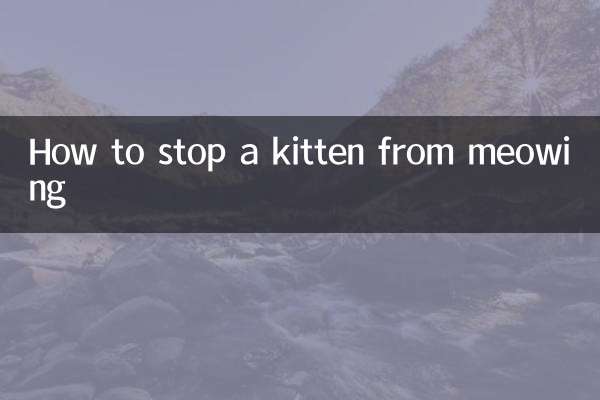 बिल्ली के बच्चे को म्याऊं-म्याऊं करने से कैसे रोकें