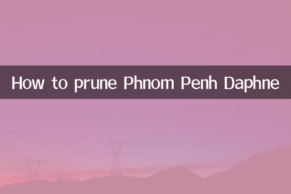 프놈펜 다프네 가지치기 방법