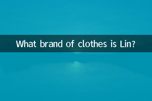 لین چه مارکی لباسه؟