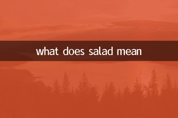 샐러드가 무슨 뜻이야?