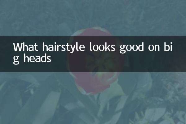 Quelle coiffure convient aux grosses têtes