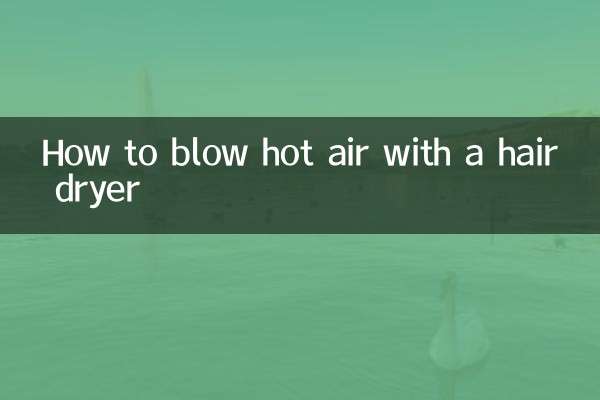 হেয়ার ড্রায়ার দিয়ে কীভাবে গরম বাতাস ফুঁকবেন