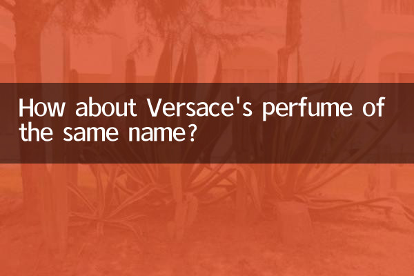 베르사체의 동명 향수는 어떤가요?