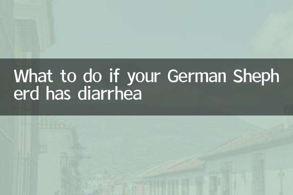 德国牧羊犬拉稀怎么办