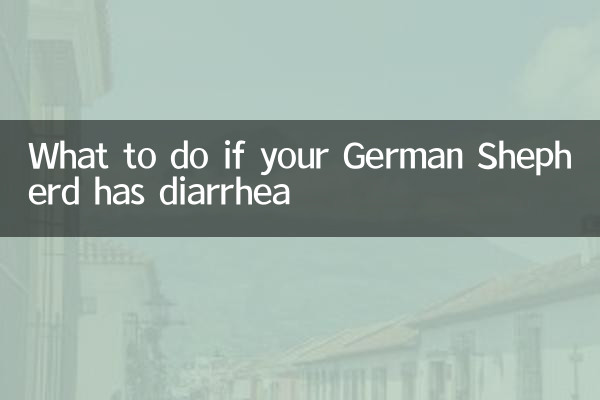 اگر ژرمن شپرد شما اسهال داشت چه باید کرد؟