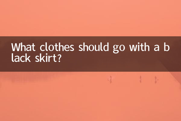 黒いスカートにはどんな服が合うでしょうか？