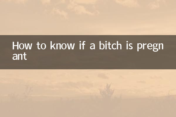 कैसे पता चलेगा कि कुतिया गर्भवती है