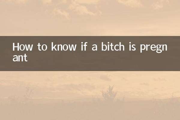 Cómo saber si una perra está embarazada