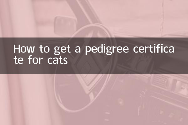 কিভাবে বিড়াল জন্য একটি বংশতালিকা সার্টিফিকেট পেতে