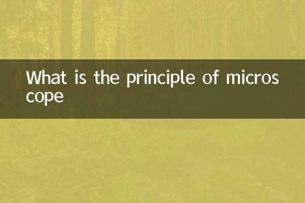 اصل میکروسکوپ چیست؟