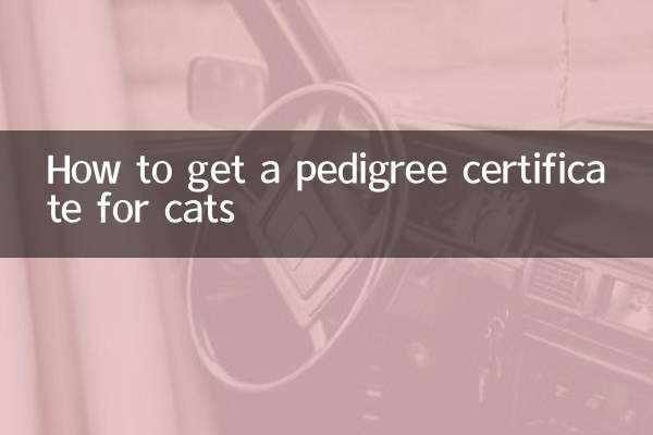 Как получить родословный сертификат для кошки