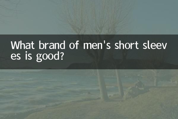 メンズ半袖はどこのブランドが良いですか？