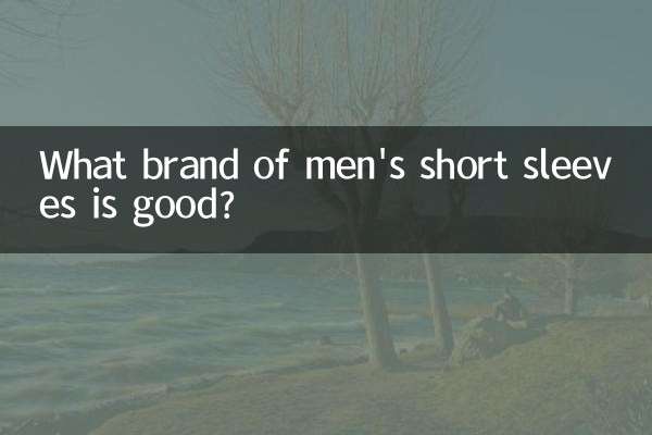 পুরুষদের ছোট হাতা কোন ব্র্যান্ড ভাল?