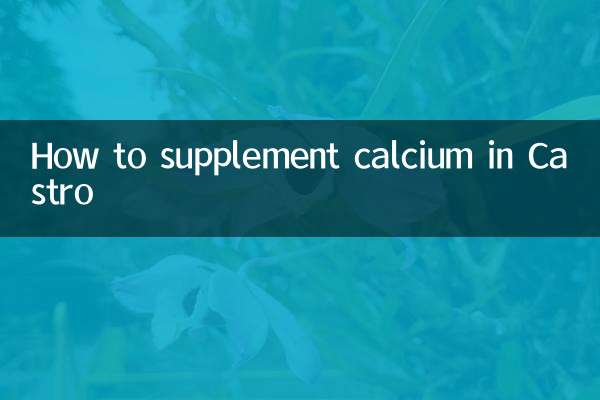How to supplement calcium in Castro