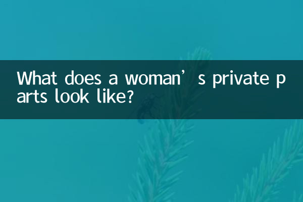 Wie sieht der Intimbereich einer Frau aus?