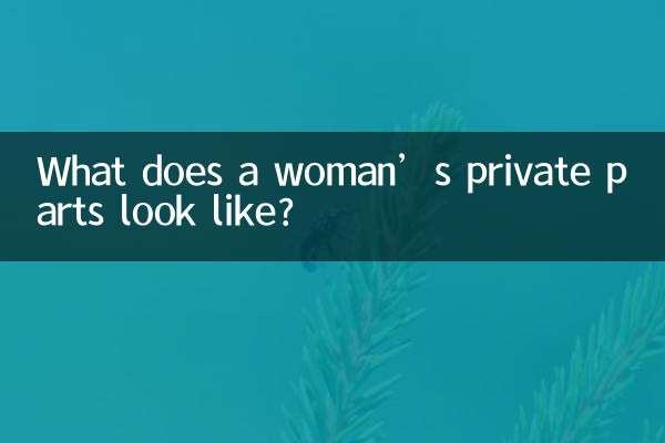 Wie sieht der Intimbereich einer Frau aus?