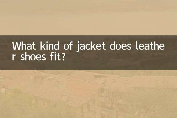 Welche Art von Jacke passt Lederschuhe?