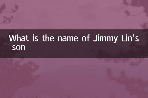What is the name of Jimmy Lin's son