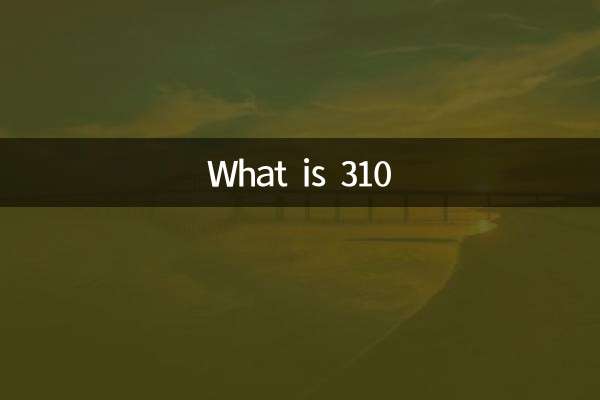 310 چیست