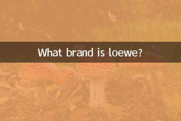 What brand is loewe?