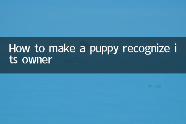 怎么让幼犬认主人