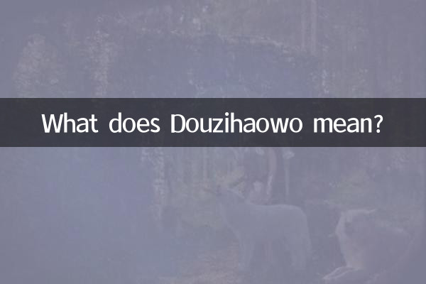 Was bedeutet Douzihaowo?
