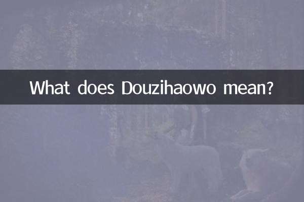 What does Douzihaowo mean?