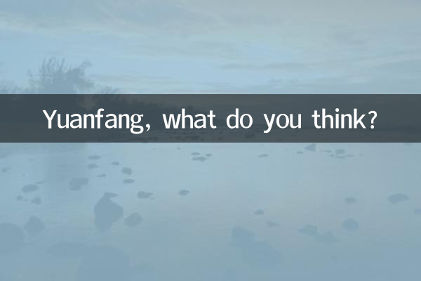 위안팡 씨, 어떻게 생각하세요?