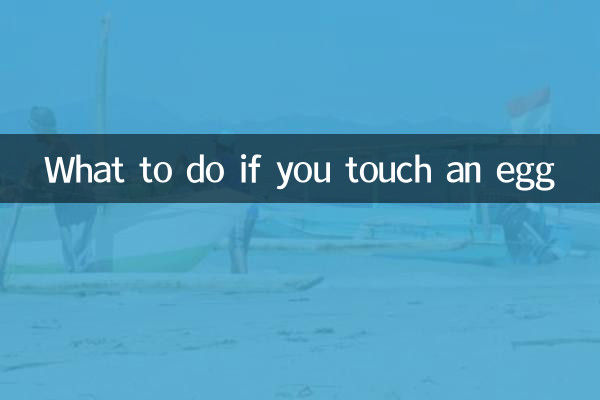 What to do if you touch an egg