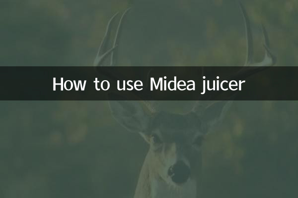 মিডিয়া জুসার কীভাবে ব্যবহার করবেন