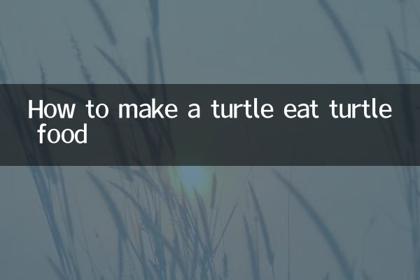 How to make a turtle eat turtle food