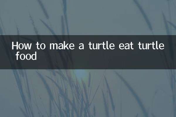 怎麼讓烏龜吃龜糧